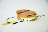 /album/le-mie-creazioni/dsc-9000-2464x1632-jpg/