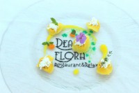 /album/le-mie-creazioni/img-1506-jpg/